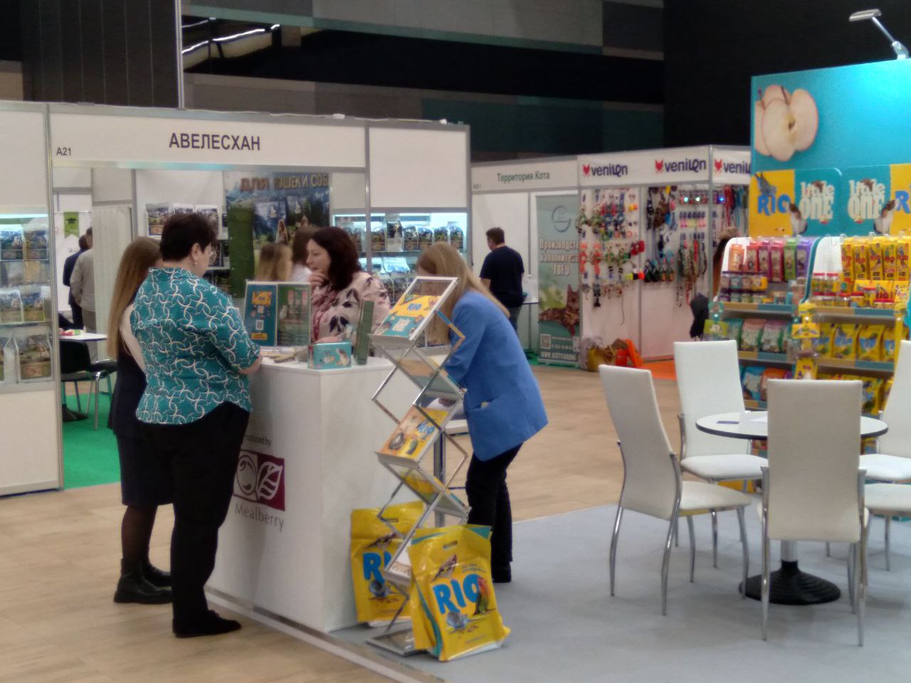 (без названия)