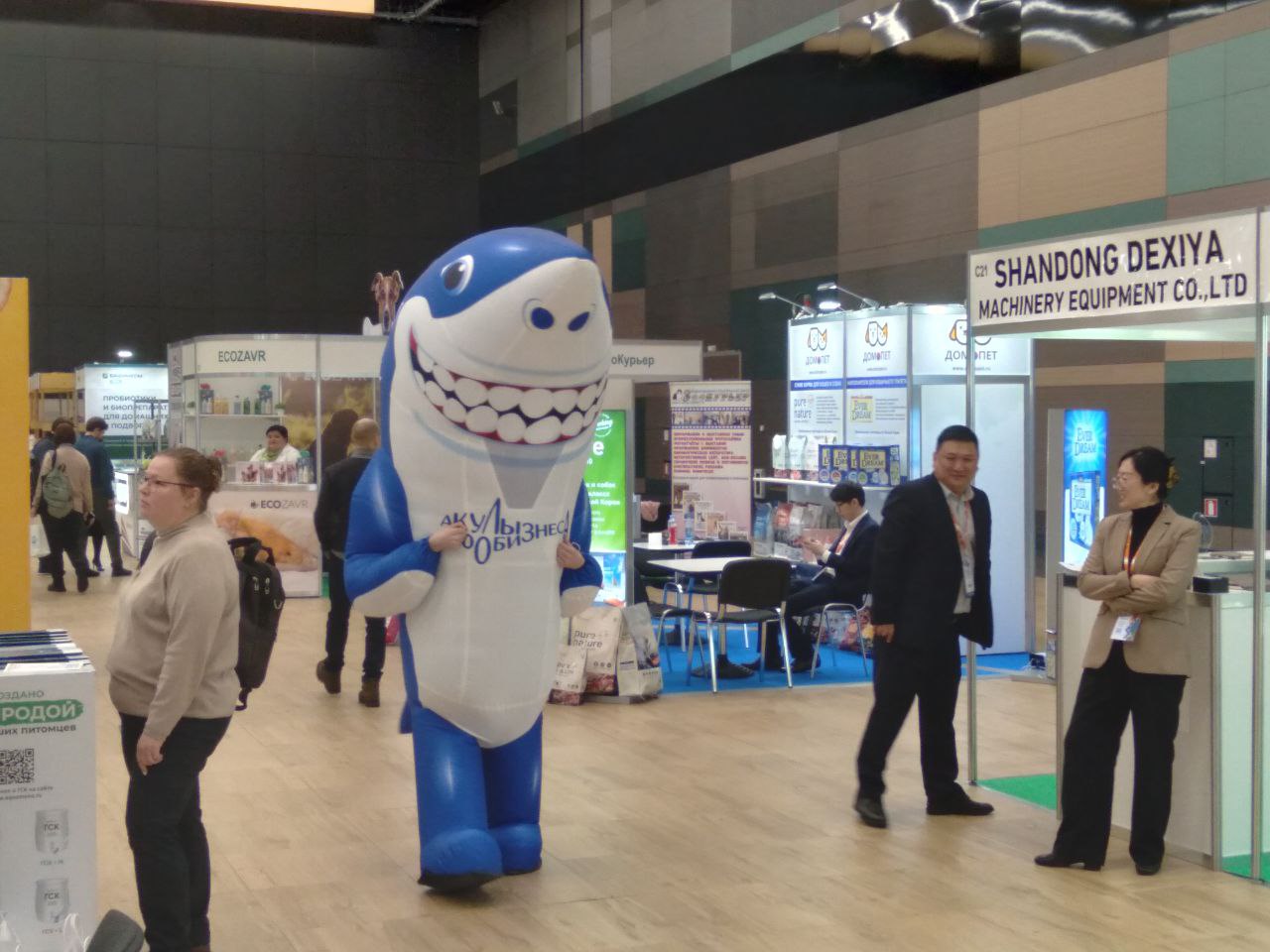 (без названия)