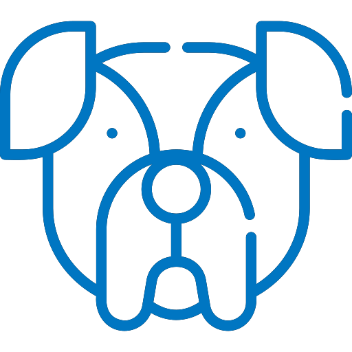 ПРОГРАММА ДЛЯ ЗАВОДЧИКОВ